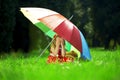 Little girl hid in a park under a rainbow umbrella Royalty Free Stock Photo