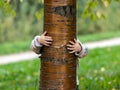 Little girl hide over the tree