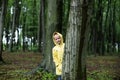 Little girl hiding behind a tree in the spring rainforest Royalty Free Stock Photo