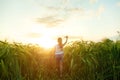 Little girl holding airplane toy in the green wheat field Royalty Free Stock Photo