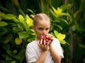 Little girl holding bunch of red grapes, Caucasian girl eating grape. Selected focus. Green tropical leaves background. Organic