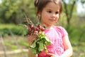 Little girl holding a bunch of red radishes in her hands at the farm