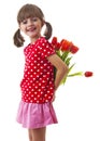 Little girl holding bunch of red tulips Royalty Free Stock Photo