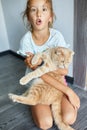 Little girl holding cat in her arms at home indoor, Child playing with domestic animals pet Royalty Free Stock Photo