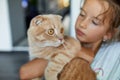 Little girl holding cat in her arms at home indoor, Child playing with domestic animals pet Royalty Free Stock Photo