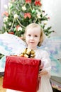 Little girl holding christmas gift Royalty Free Stock Photo
