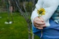 Little girl holding a daisy in her hand Royalty Free Stock Photo