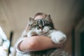 Little girl holding a fluffy cat in her arms Royalty Free Stock Photo