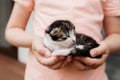 Little girl holding a little kitten with closed eyes in her arms Royalty Free Stock Photo