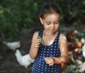 Little girl holding a leaf of a tree on a background of green trees in the countryside.Summer day Royalty Free Stock Photo