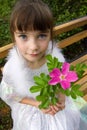 Little girl holding rose flower