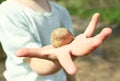 Little girl holding a stone in her hand. The stone is a close-up. The girl does not focus