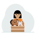 A little girl holds a cardboard box with a cat and a dog. The concept of rescue, help and care for pets. Royalty Free Stock Photo