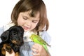 Little girl holds Parrot and dog Royalty Free Stock Photo