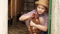 a little girl holds and strokes a red hen. laying hen.