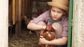 a little girl holds and strokes a red hen. laying hen.