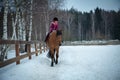 Little girl horse rider gallops on a brown horse in winter open manege.