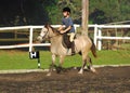 Little girl horse riding Royalty Free Stock Photo