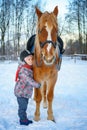 Little girl on a horse in winter, horseback riding Royalty Free Stock Photo