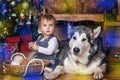 Little girl in the house and Malamute Royalty Free Stock Photo