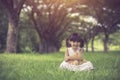 little girl hugging her teddy bear in park. Royalty Free Stock Photo