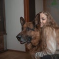 Little girl hugs a friendly big dog. Royalty Free Stock Photo