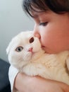 Little girl hugs, kisses a white cat. Love for pets.