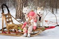 Little girl with husky dogs in winter park