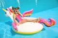 Girl on inflatable mattress in swimming pool