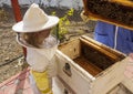 Little girl inspecting beehive frame with honeycomb and bees. Farm Royalty Free Stock Photo