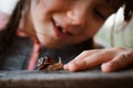 Little girl intently watching small snail crawling along wooden bench while spending time in nature Royalty Free Stock Photo