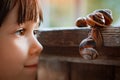 Little girl intently watching small snail crawling along wooden bench while spending time in nature Royalty Free Stock Photo