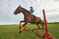 Little girl jockey and her chestnut horse jumper