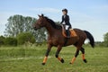 Little girl jockey riding a horse across country in professional outfit Royalty Free Stock Photo