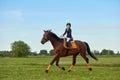 Little girl jockey riding a horse across country in professional outfit Royalty Free Stock Photo