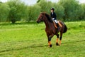 Little girl jockey riding a horse across country in professional outfit Royalty Free Stock Photo