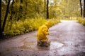 Little girl jumping fun in a dirty puddle Royalty Free Stock Photo