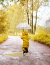 Little girl jumping fun in a dirty puddle Royalty Free Stock Photo