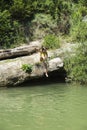 Little girl jumping in a river Royalty Free Stock Photo