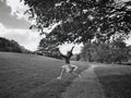 little girl jumping running in park outside on summer day. Black and white portrait of funny happy smiling child Royalty Free Stock Photo