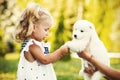 Little girl kissing her puppy Samoyed breed Royalty Free Stock Photo