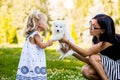 Little girl kissing her puppy Samoyed breed Royalty Free Stock Photo