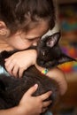 Little girl kissing kitten Maine Coon Royalty Free Stock Photo