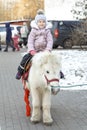 Little girl in a knitted hat and warm jacket rides a pony in a city park on a sunny winter day Royalty Free Stock Photo