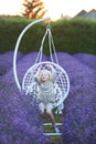Little girl lavender field