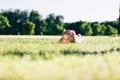 Little girl laying on the grass field and looking aside. Royalty Free Stock Photo