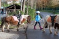 Little girl leading a pony