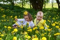 A little girl and a little boy reaps yellow flowers Royalty Free Stock Photo