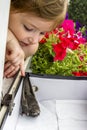 A little girl look at the young common swift apus apus on the paper box in balcony Royalty Free Stock Photo