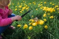 Little girl looking at butterfy, kids learning nature Royalty Free Stock Photo